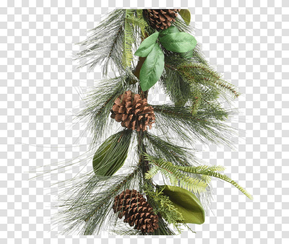 Green Garland With Pinecones Pond Pine, Tree, Plant, Ornament, Fir Transparent Png