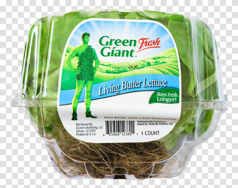 Green Giant Lettuce, Plant, Person, Vegetable, Food Transparent Png