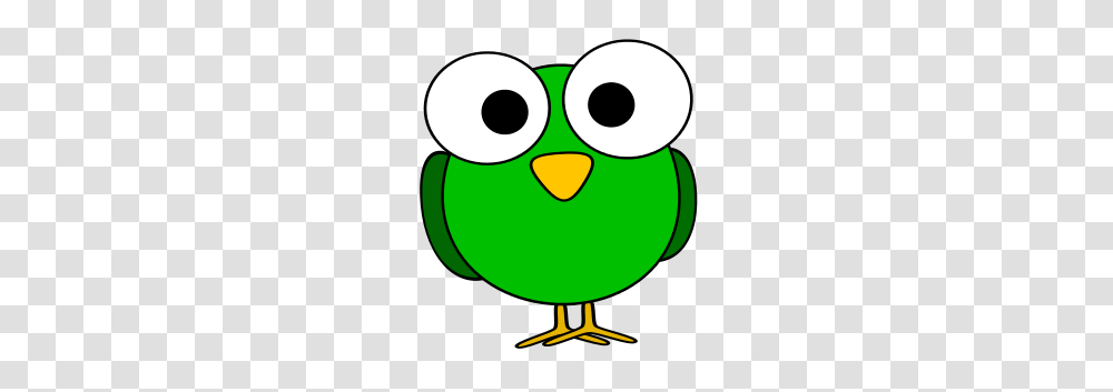 Green Googly Eye Bird, Animal Transparent Png