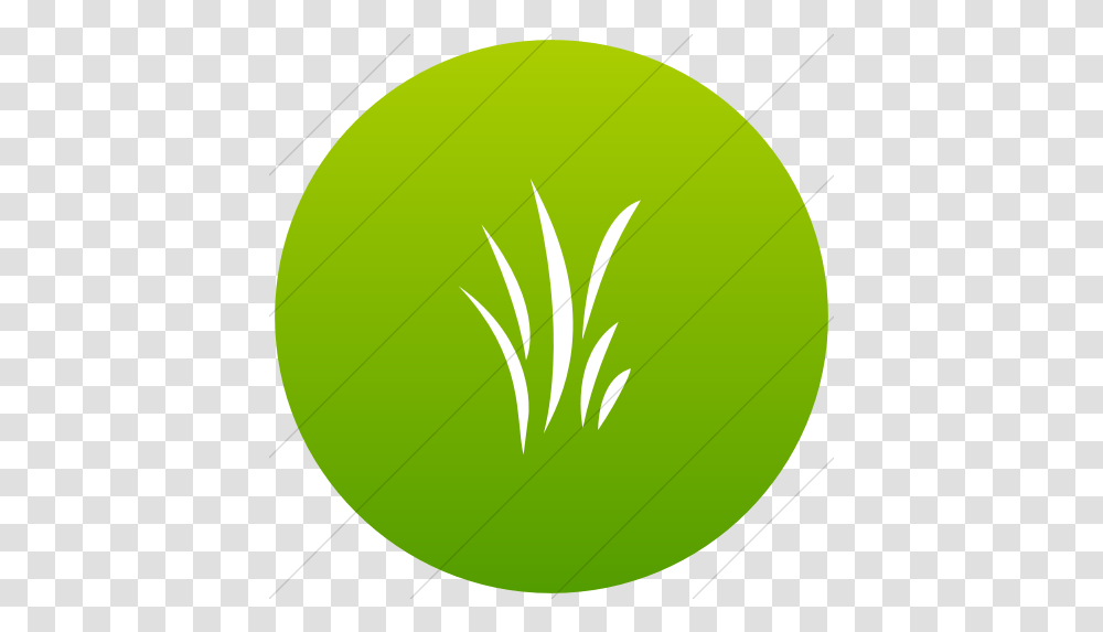 Green Gradient Classica Grass Icon G In Yellow Circle, Tennis Ball, Sport, Plant, Vegetable Transparent Png