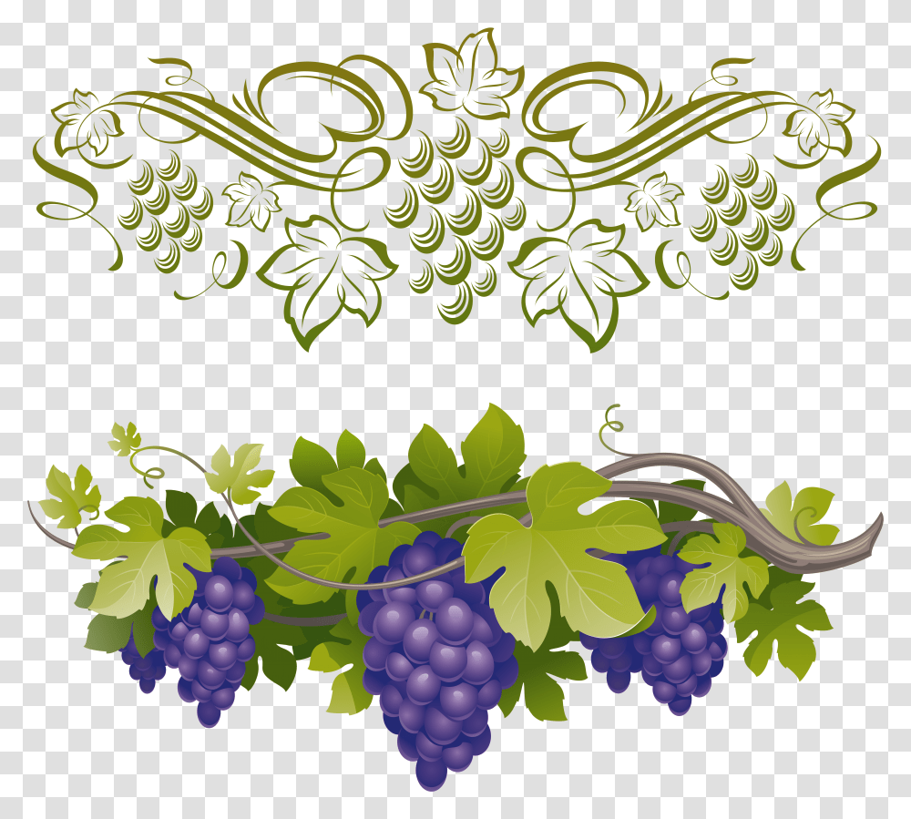 Green Grapes Clipart Grapes On A Vine, Plant, Fruit, Food Transparent Png
