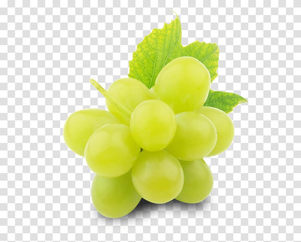 Green Grapes Free Download Grapes, Plant, Fruit, Food Transparent Png