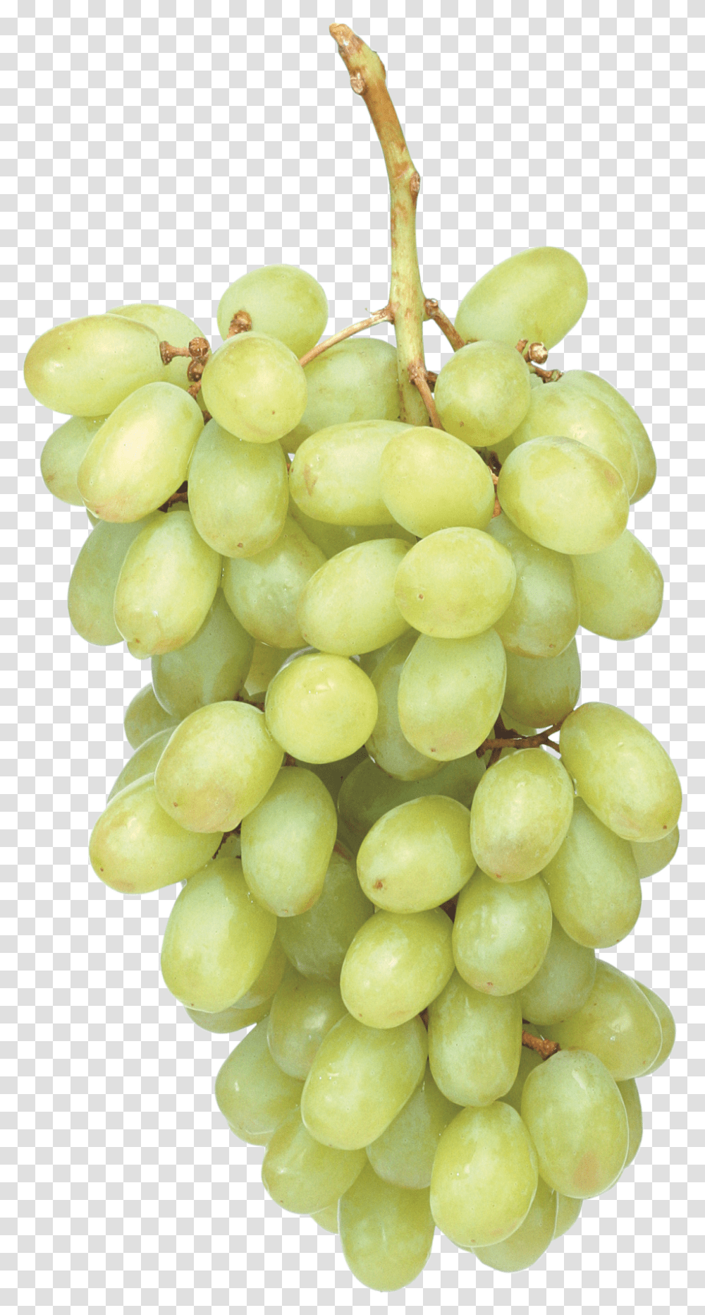 Green Grapes Green Grapes Cartoon, Plant, Fruit, Food Transparent Png