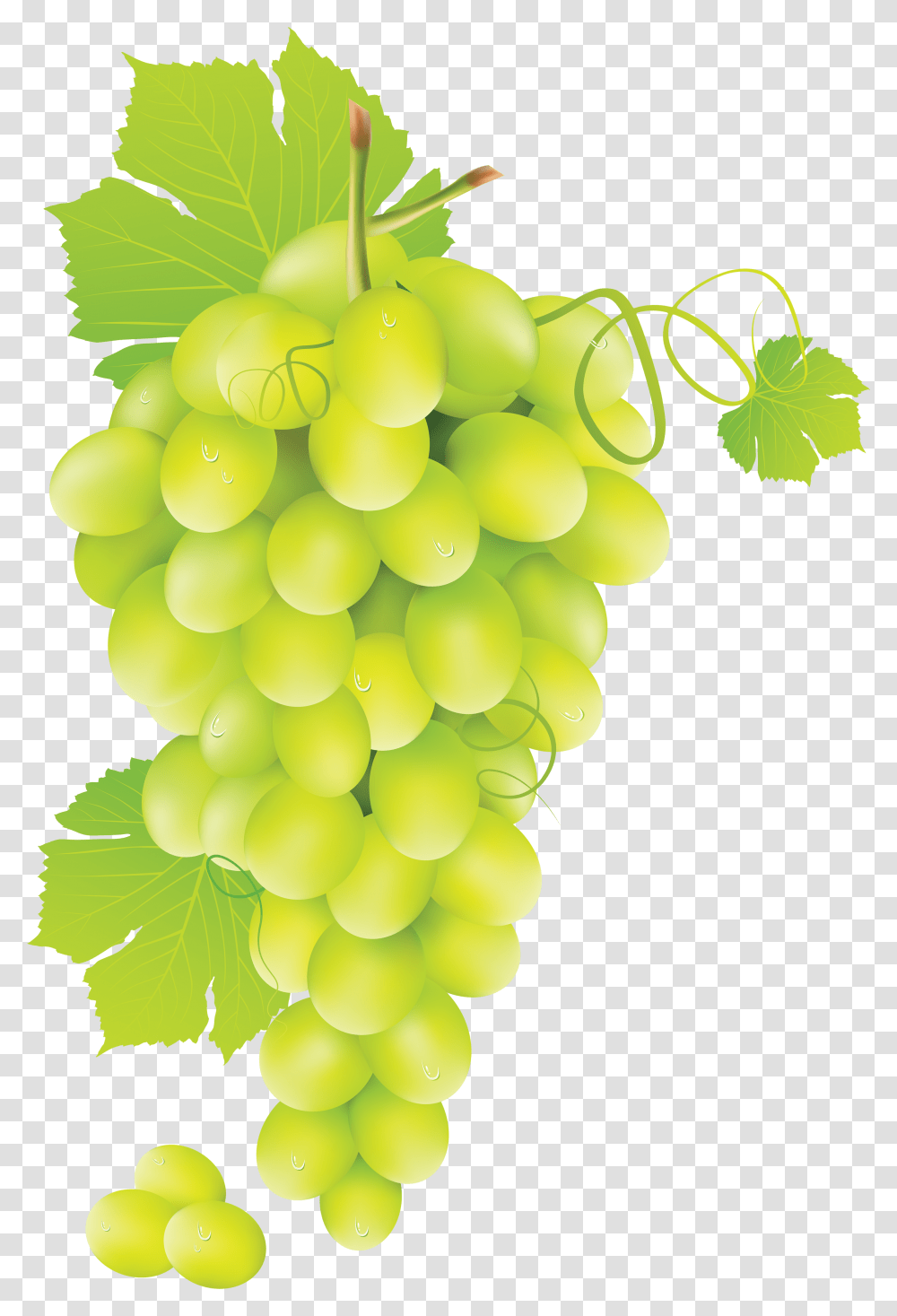 Green Grapes Image For Free Download Green Grapes, Plant, Fruit, Food Transparent Png