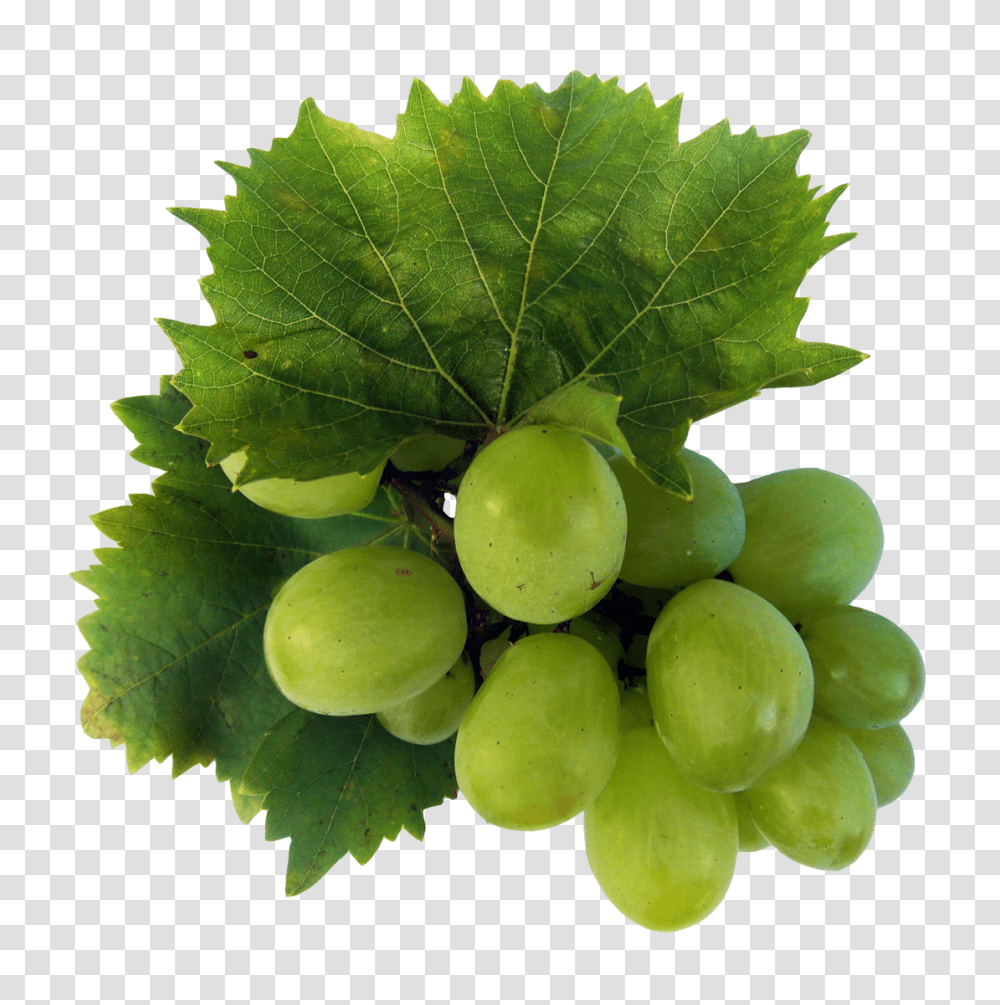 Green Grapes Image, Fruit, Plant, Food Transparent Png