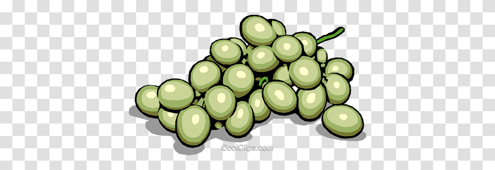 Green Grapes Royalty Free Vector Clip Art Illustration, Plant, Cucumber, Vegetable, Food Transparent Png