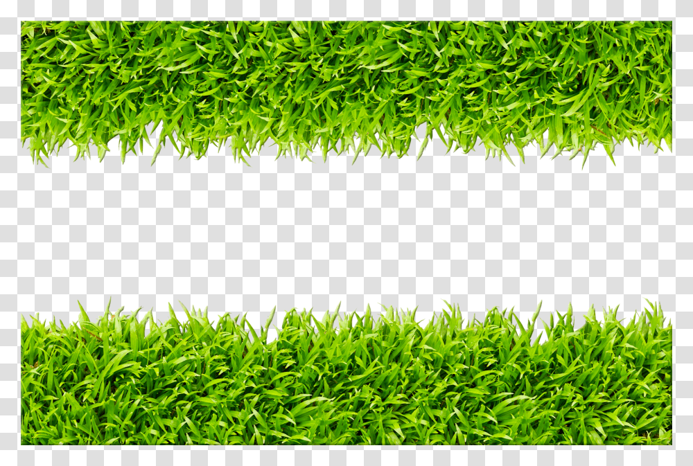 Green Grass Background Design Transparent Png