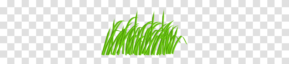 Green Grass Blade Clip Art, Plant, Leaf, Vegetation, Fern Transparent Png