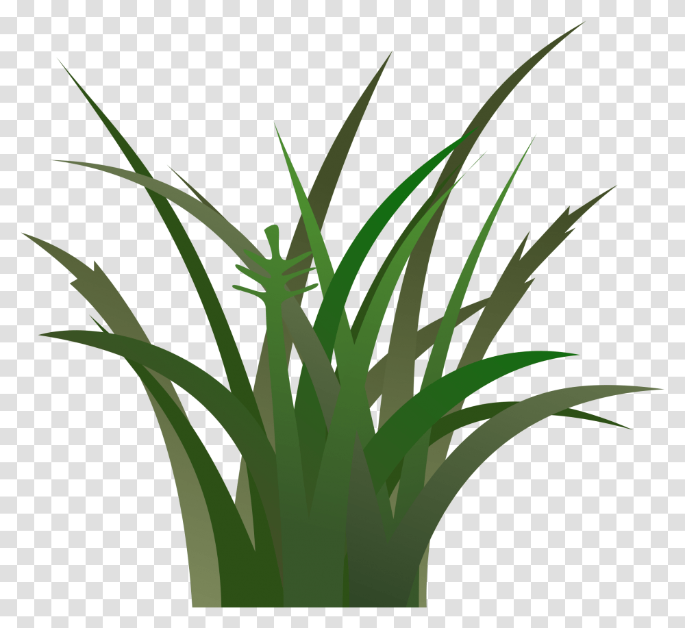 Green Grass Clip Art Dark Green Grass Clipart, Plant, Produce, Food, Vegetable Transparent Png