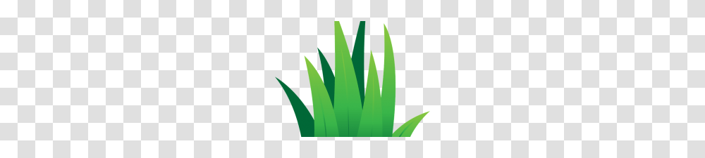 Green Grass Clip Art Green Grass Border Clipart, Plant, Leaf, Aloe, Fern Transparent Png
