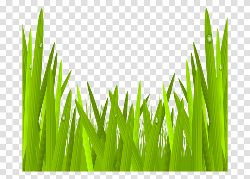 Green Grass Clip Art Image Gallery Clipart Grass, Plant, Lawn Transparent Png