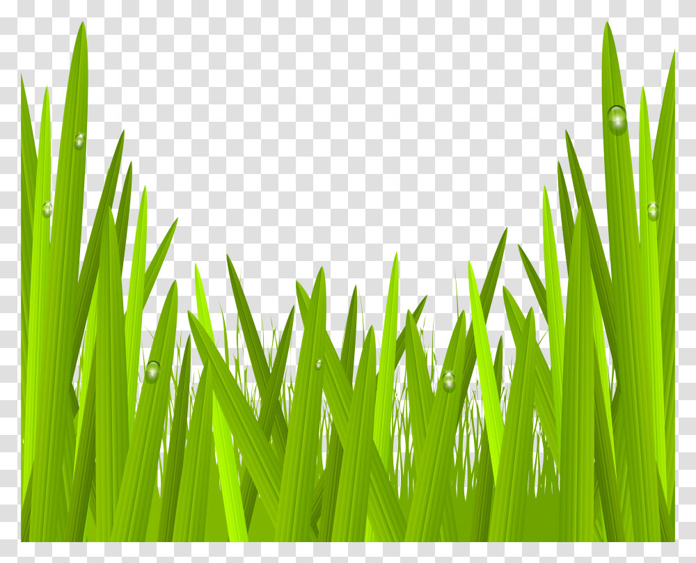 Green Grass Clip Art Image Gallery Green Grass Clipart Transparent Png