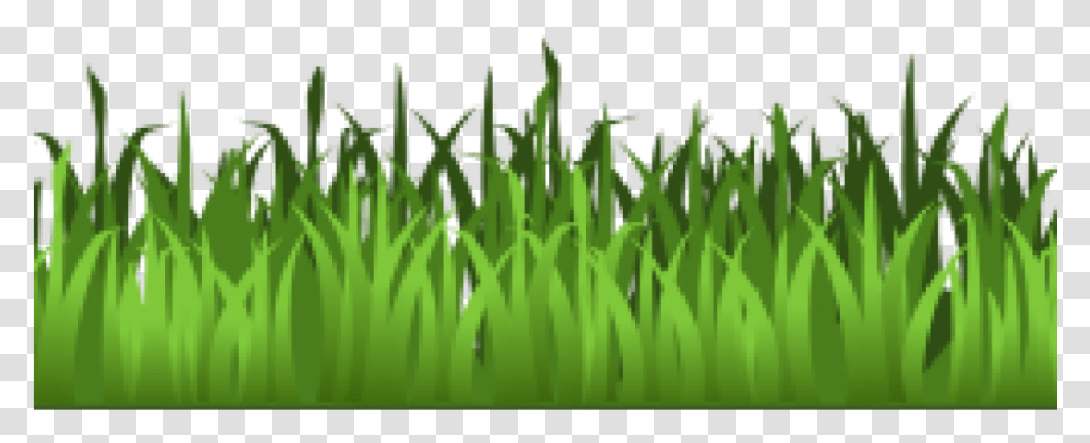 Green Grass Clip Art Meadow Green Grass Clipart Isolated Background Grass Clipart, Plant, Lawn, Field, Outdoors Transparent Png