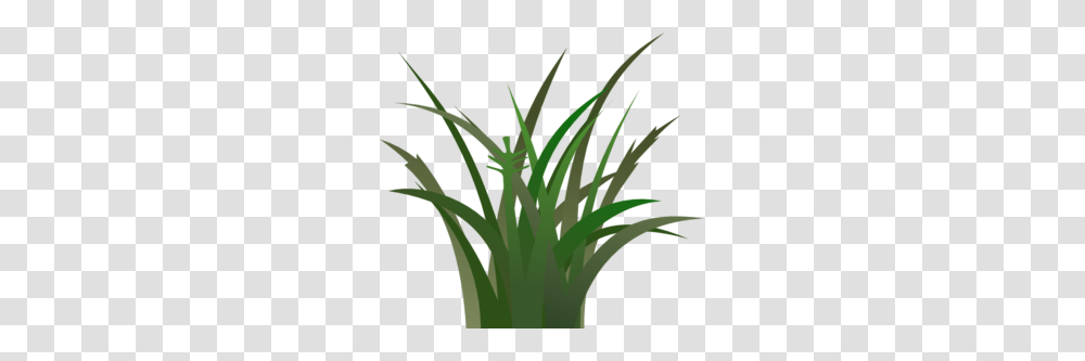 Green Grass Clip Art, Plant, Produce, Food, Vegetable Transparent Png