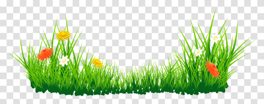 Green Grass Clipart Clipart Grass Hd Images Download, Plant, Pattern, Leaf, Crystal Transparent Png