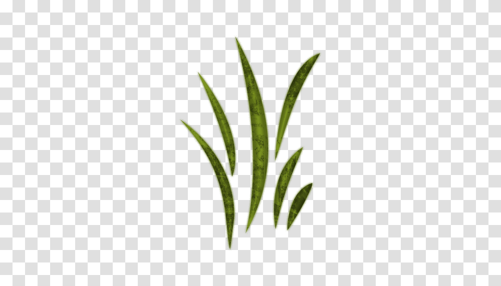 Green Grass Clipart, Plant, Leaf, Vase, Jar Transparent Png