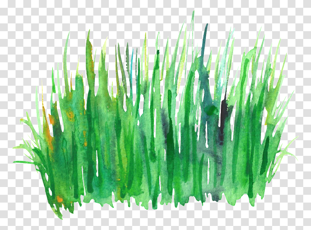 Green Grass Cluster Decorative Watercolor Grass, Animal, Sea Life, Reef, Outdoors Transparent Png