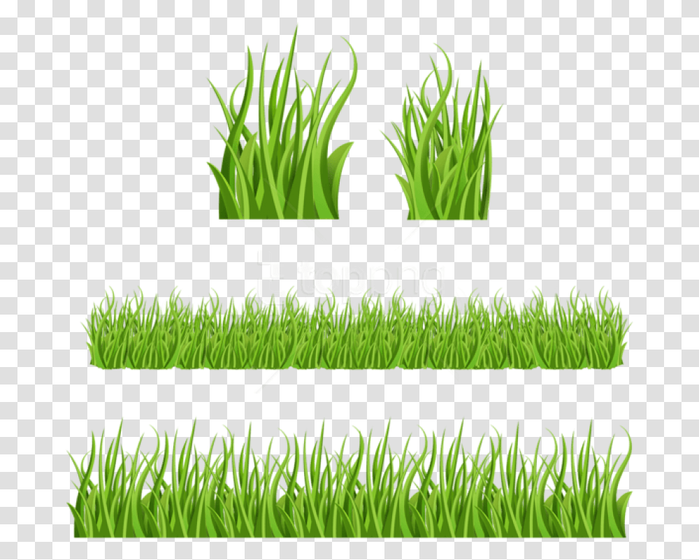 Green Grass Gras Zeichentrick, Plant, Lawn, Sea Life, Animal Transparent Png