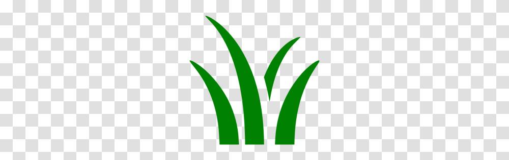 Green Grass Icon, Plant, Meal Transparent Png