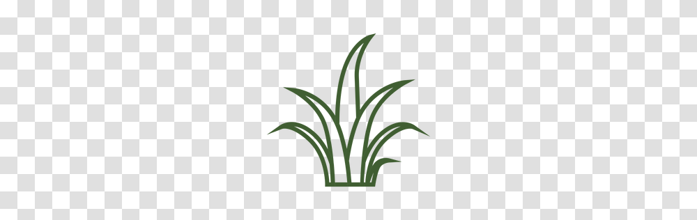 Green Grass Illustration, Plant, Produce, Food, Vegetable Transparent Png