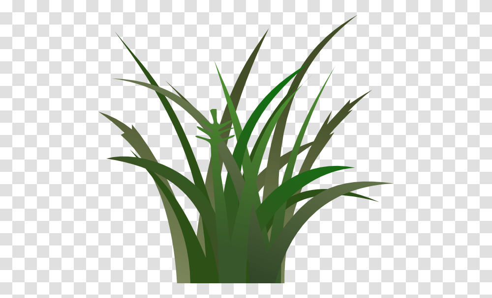 Green Grass Large Size, Plant, Flower, Blossom, Bamboo Transparent Png