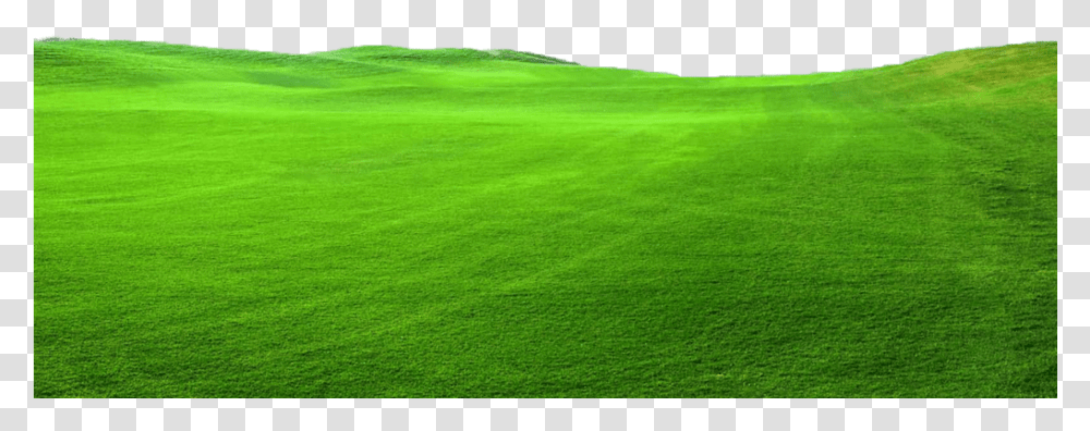 Green Grass Top Turf Lawn Care And Pest Lawn, Plant, Rug, Field Transparent Png