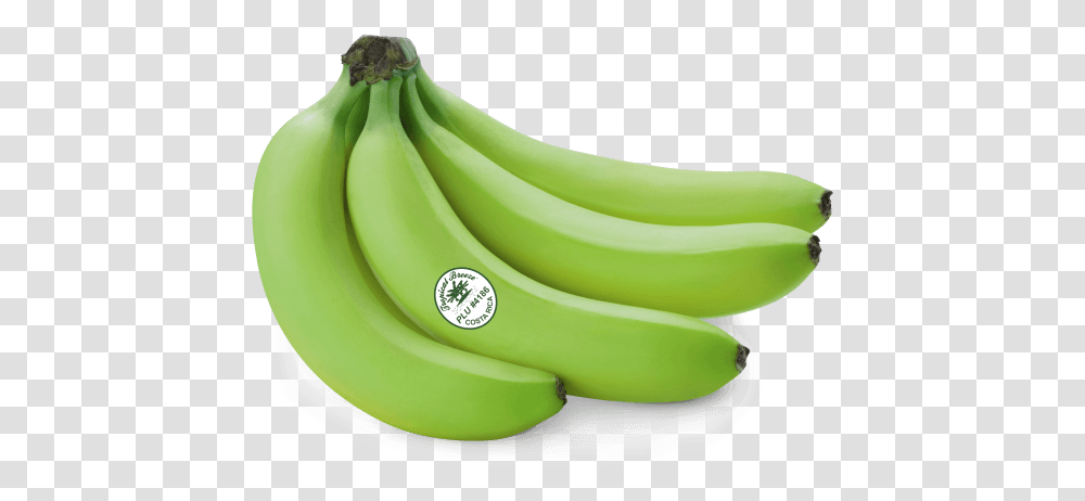 Green Green Cooking Bananas, Fruit, Plant, Food Transparent Png
