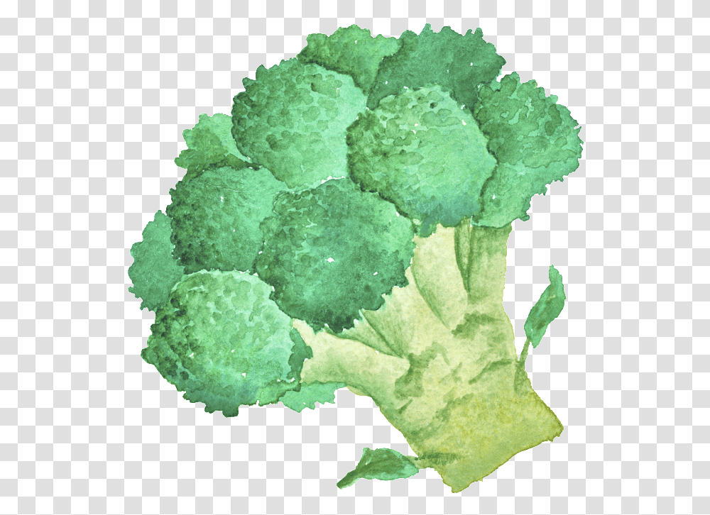 Green Hand Painted Broccoli Cartoon Vegetable Kitchen Blocoli Cartoon No Background, Plant, Food, Sea, Outdoors Transparent Png