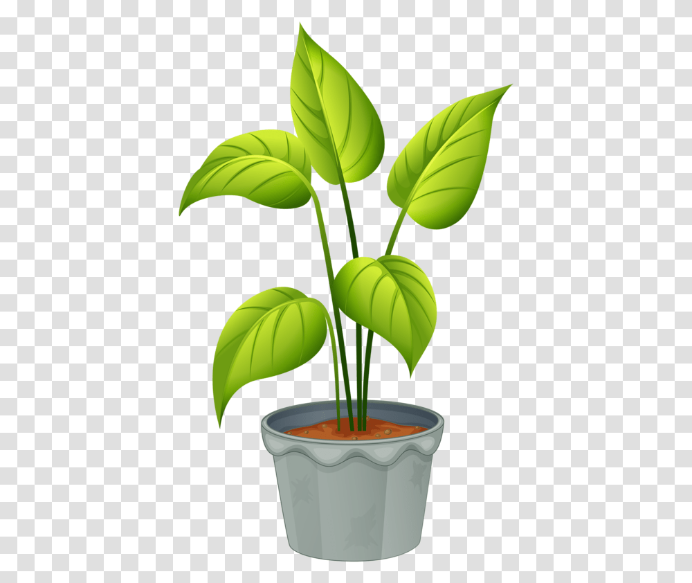 Green Home My Garden Valley Plants Plant Clipart, Leaf, Tree, Flower, Blossom Transparent Png