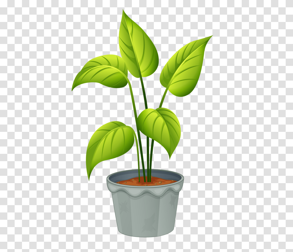 Green Home Plant My Garden Valley Flowers, Leaf, Tree, Blossom, Photography Transparent Png