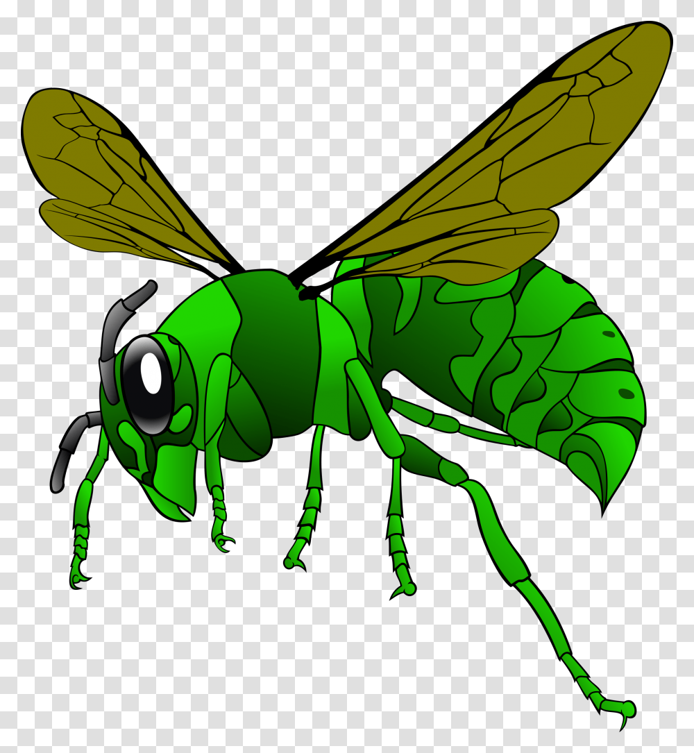 Green Hornet Icons, Insect, Invertebrate, Animal, Grasshopper Transparent Png