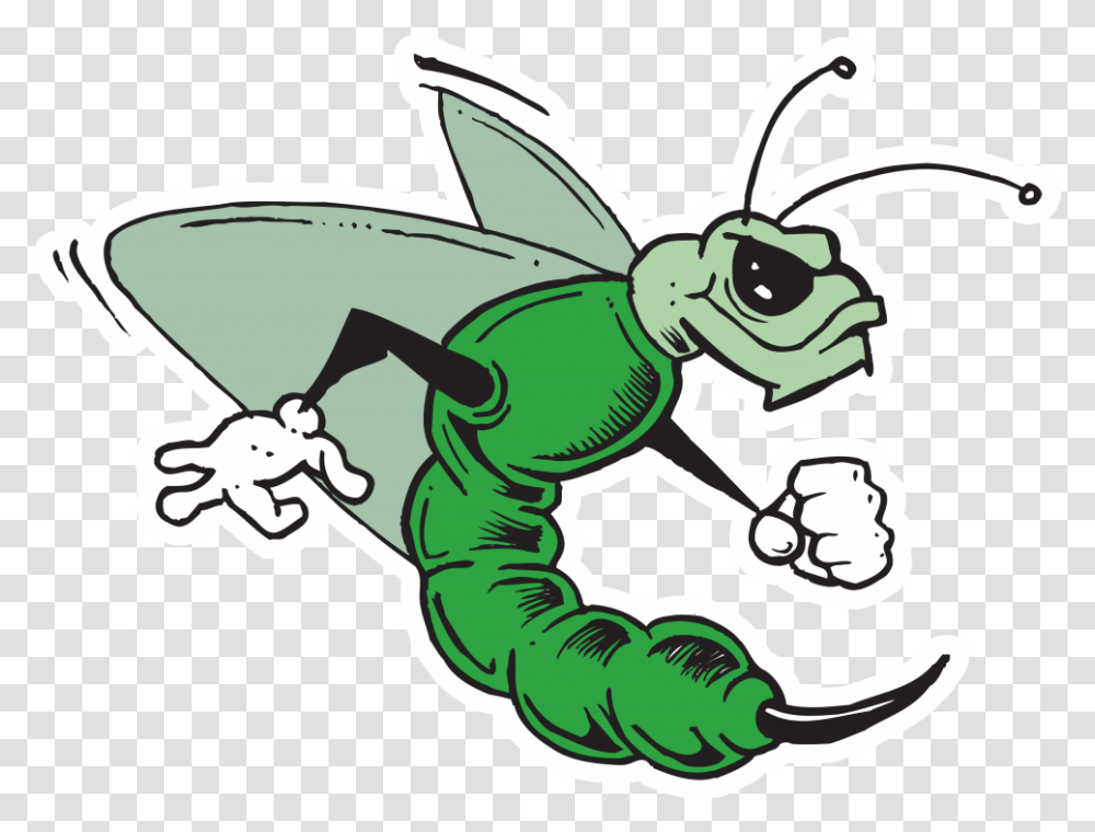 Green Hornet Landscaping Hd Images Of The Green Hornet, Insect, Invertebrate, Animal, Wasp Transparent Png