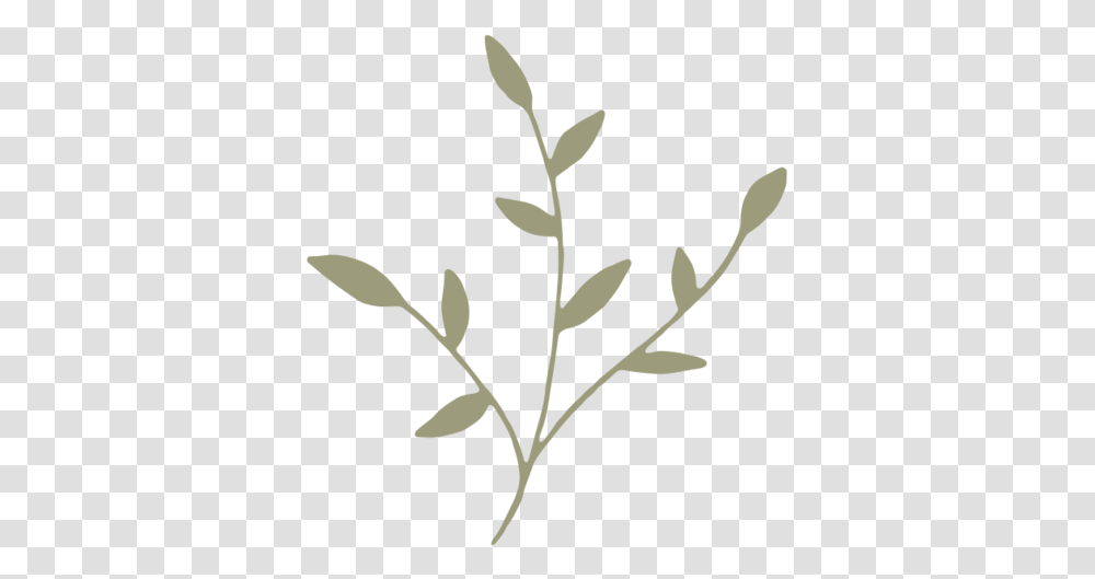 Green Icon Twig, Plant, Leaf, Flower, Blossom Transparent Png