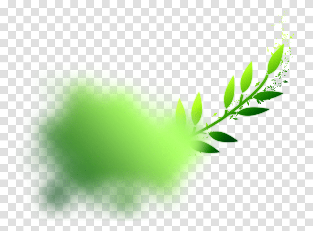 Green Image Computacion Rosa, Plant, Vegetable, Food, Graphics Transparent Png