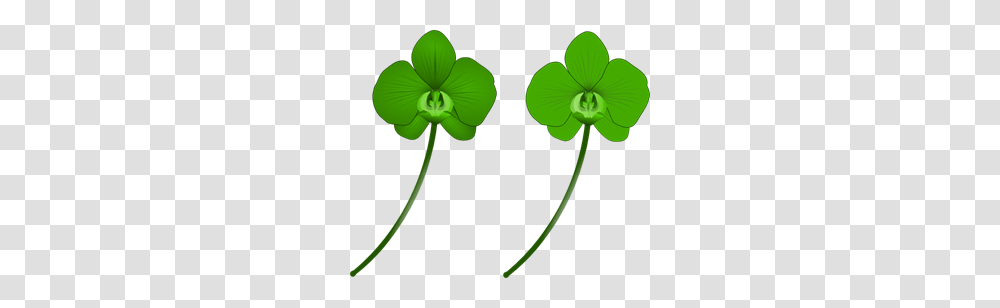 Green Images Icon Cliparts, Plant, Flower, Leaf, Petal Transparent Png