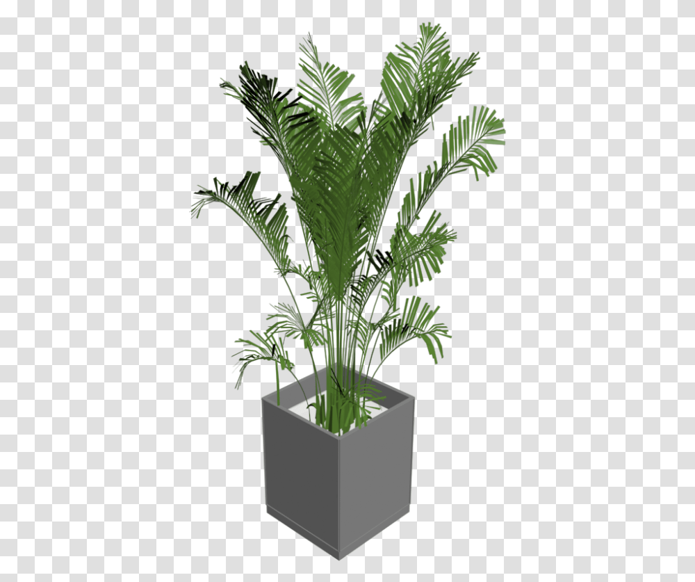 Green Indoor Plants 3d Plant, Vase, Jar, Pottery, Potted Plant Transparent Png