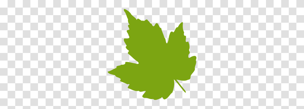 Green Ivy Leaf Clip Art, Plant, Maple Leaf, Tree Transparent Png