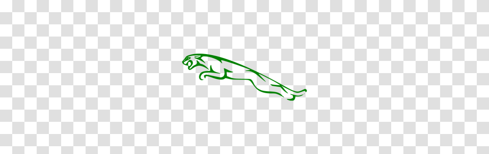 Green Jaguar Icon, Plant, Meal Transparent Png