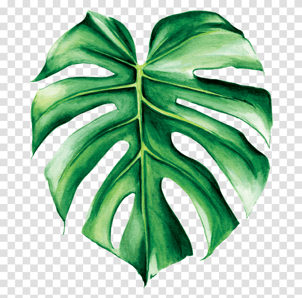 Green Leaf Aesthetic Sticker, Plant, Veins, Fern, Droplet Transparent Png
