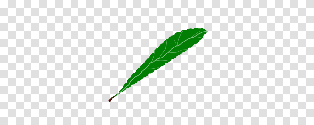 Green Leaf Animal, Plant, Grass, Tobacco Transparent Png