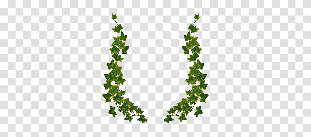 Green Leaf Border Design, Plant, Ivy, Vine Transparent Png