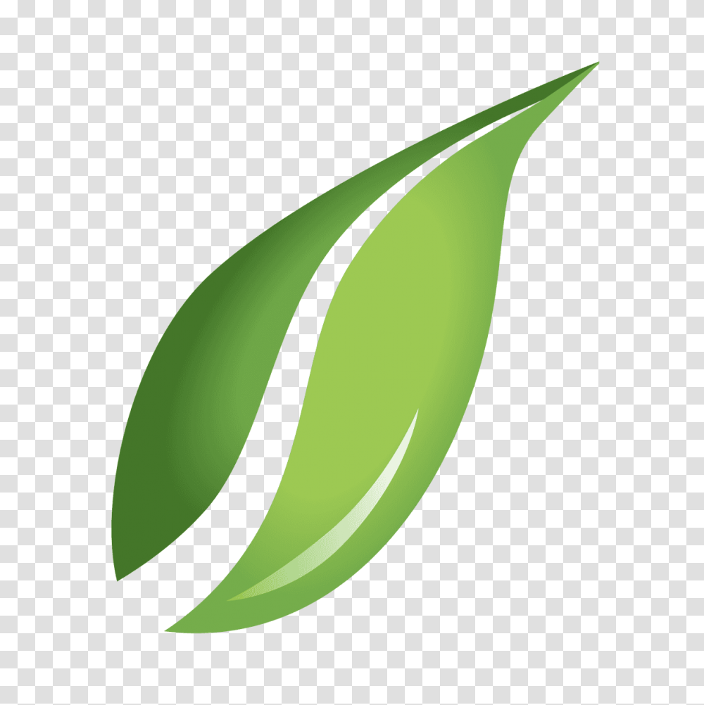Green Leaf Cafe Torquay, Plant, Flower, Recycling Symbol Transparent Png