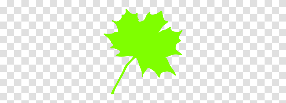 Green Leaf Clip Art, Plant, Maple Leaf, Tree, Person Transparent Png