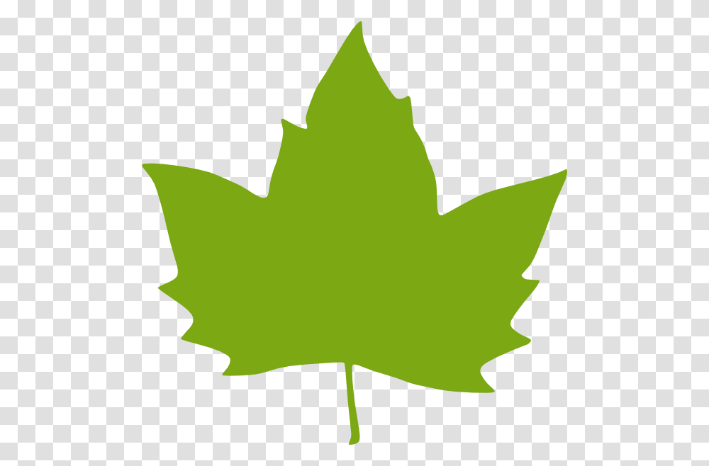 Green Leaf Clip Art, Plant, Maple Leaf, Tree Transparent Png