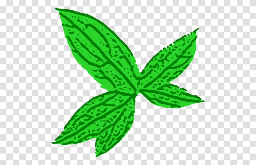Green Leaf Clip Art, Plant, Potted Plant, Vase, Jar Transparent Png