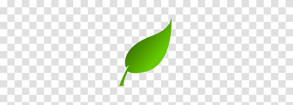 Green Leaf Clip Art, Plant, Tennis Ball, Bud, Sprout Transparent Png