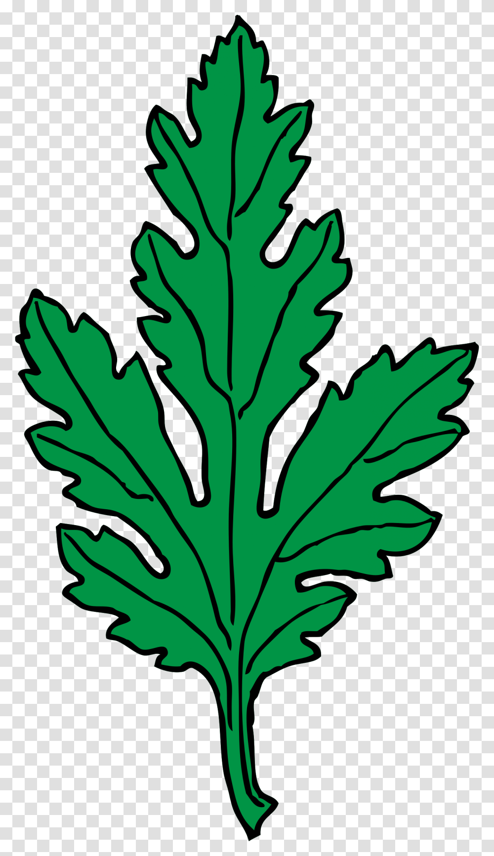 Green Leaf Clip Art, Plant, Vase, Jar, Pottery Transparent Png