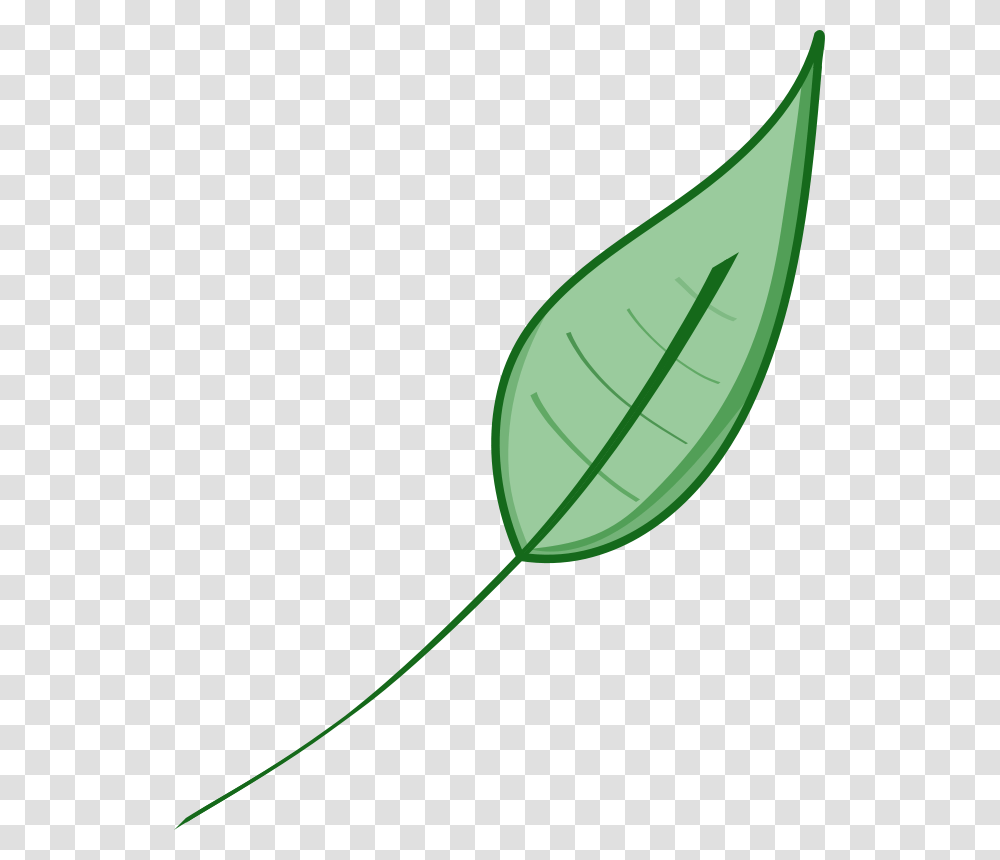 Green Leaf Clip Art, Plant, Vegetation, Photography, Flower Transparent Png