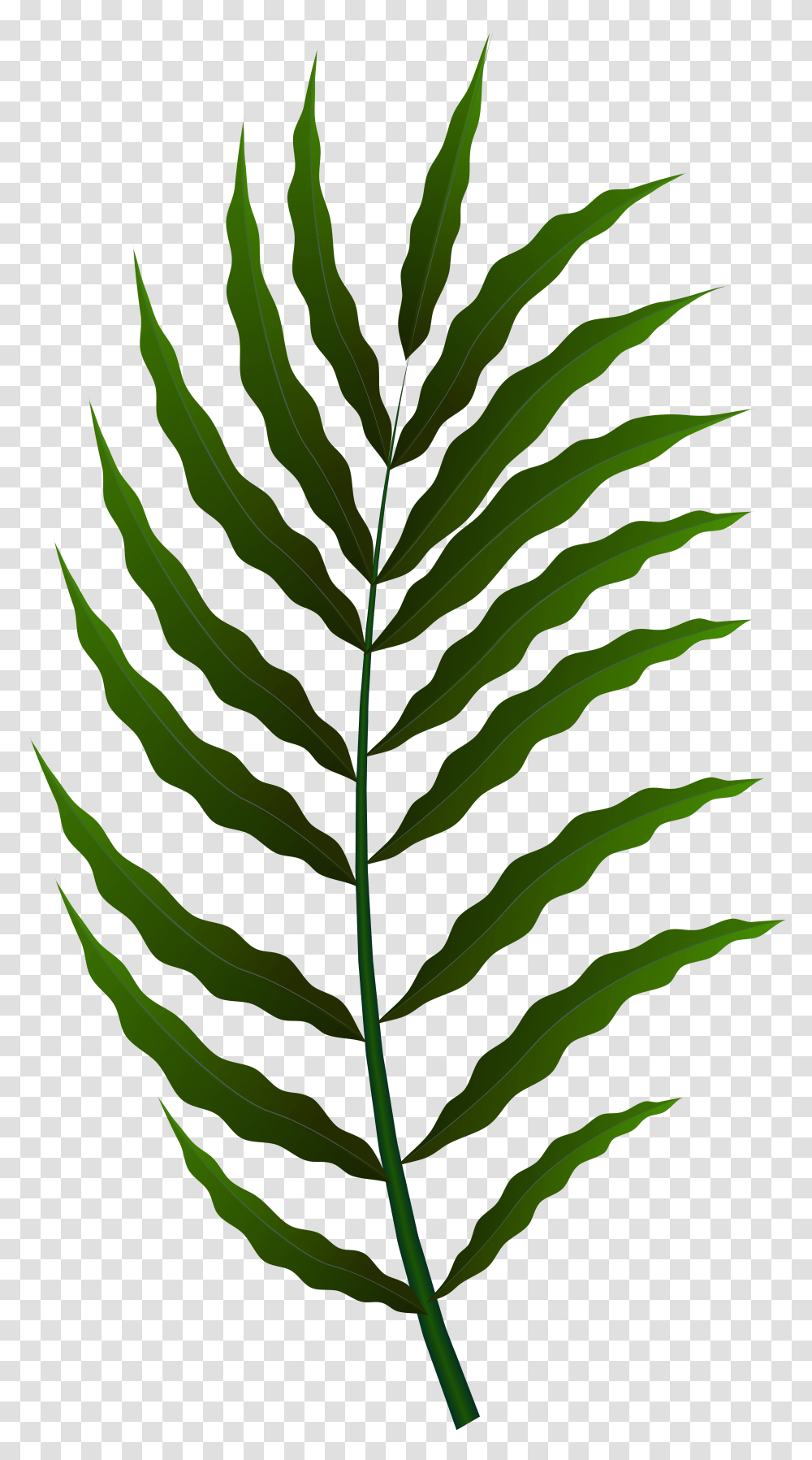 Green Leaf Clip Art, Plant, Veins, Droplet Transparent Png