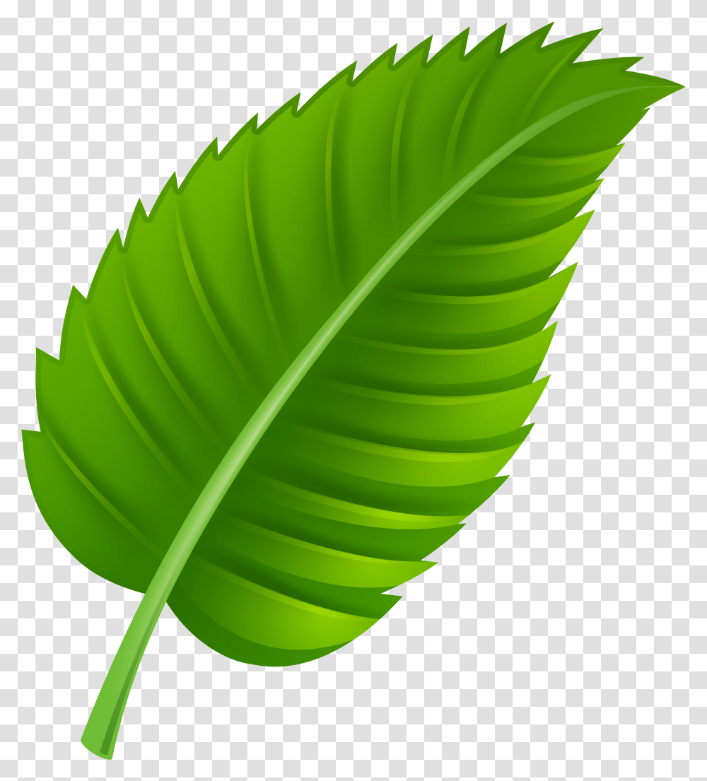 Green Leaf Clip Art Transparent Png